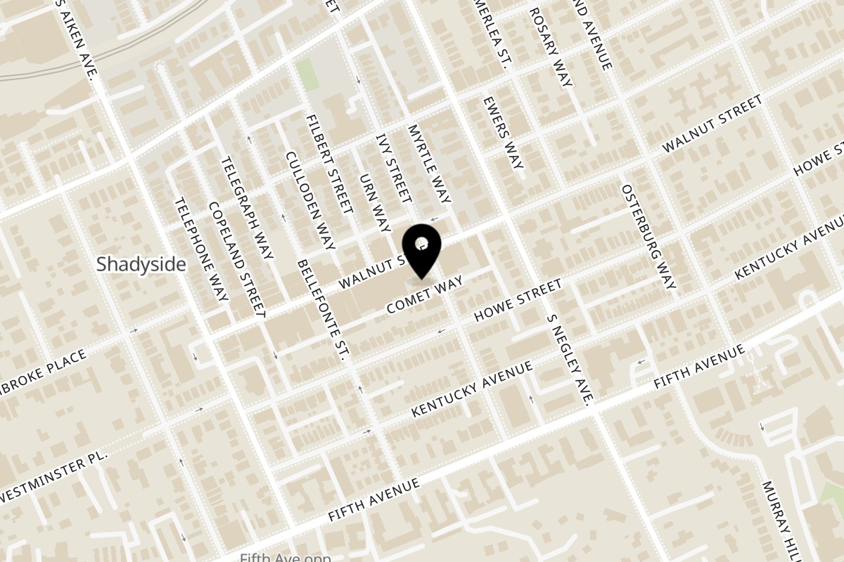 Map showing the location of Pasha on 808 Ivy St in Pittsburgh